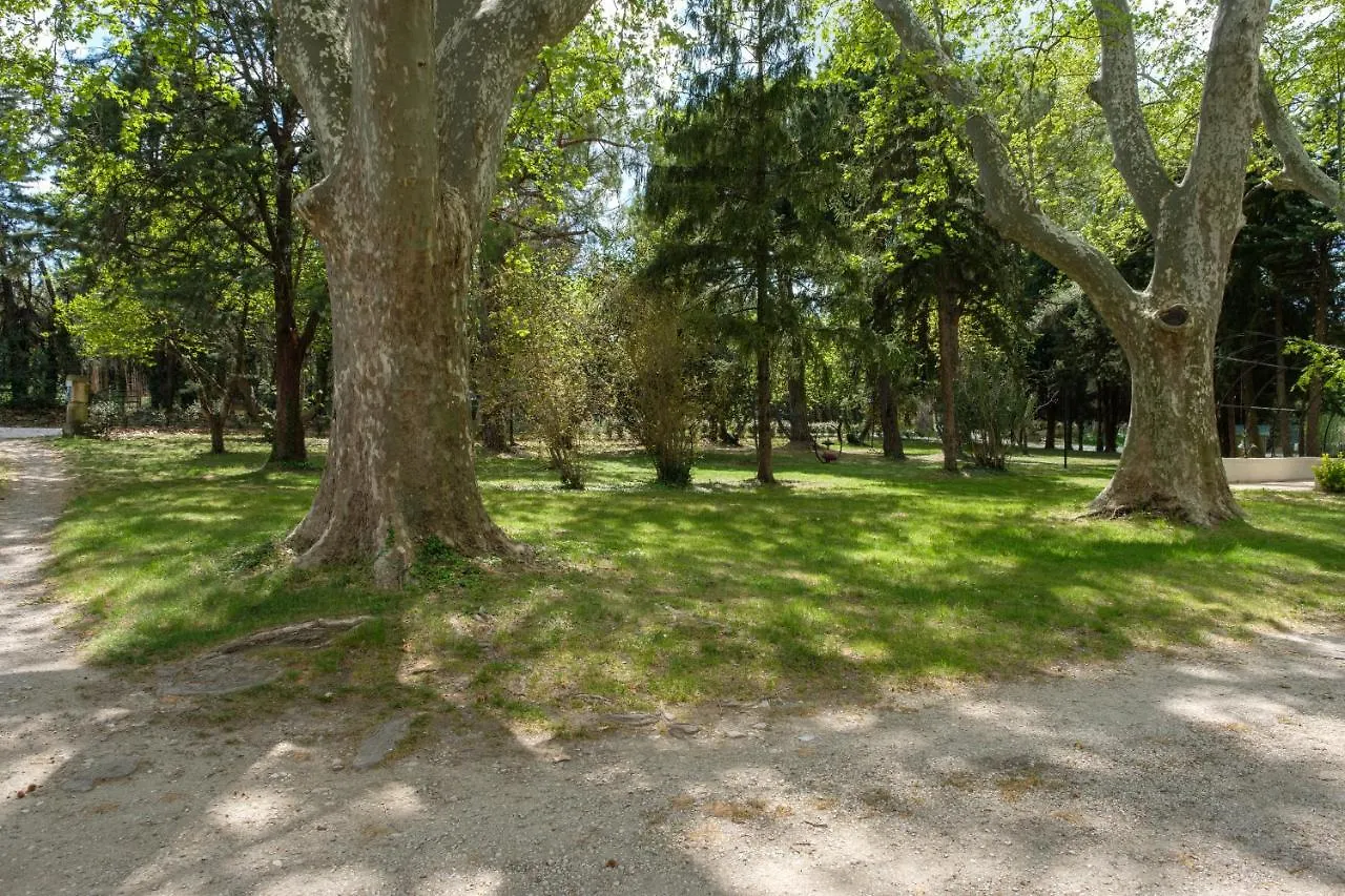 Apartment Mas Neuf De Romanin : Mas Provencal Familial Saint-Remy-de-Provence