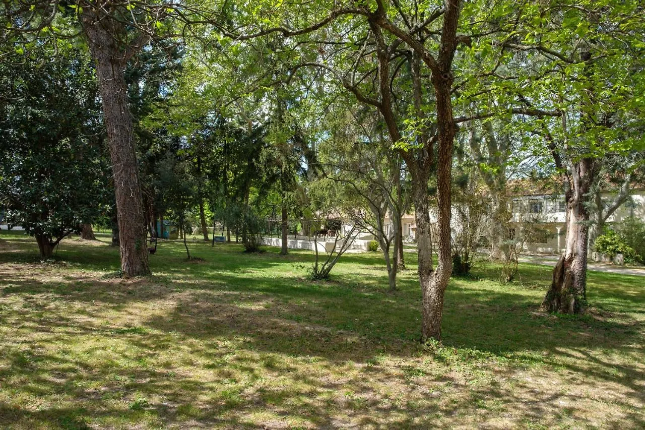Mas Neuf De Romanin : Mas Provencal Familial Saint-Remy-de-Provence Apartment