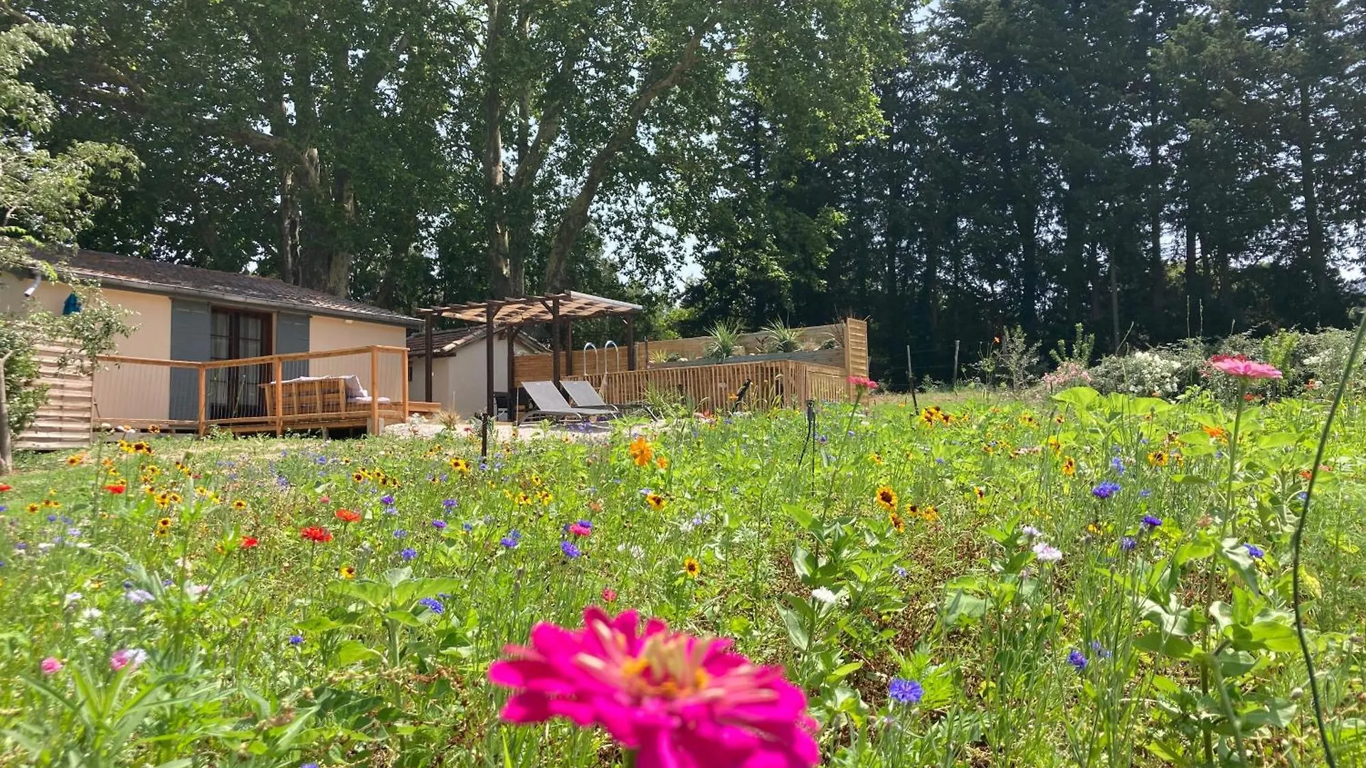 Apartment Mas Neuf De Romanin : Mas Provencal Familial Saint-Remy-de-Provence France