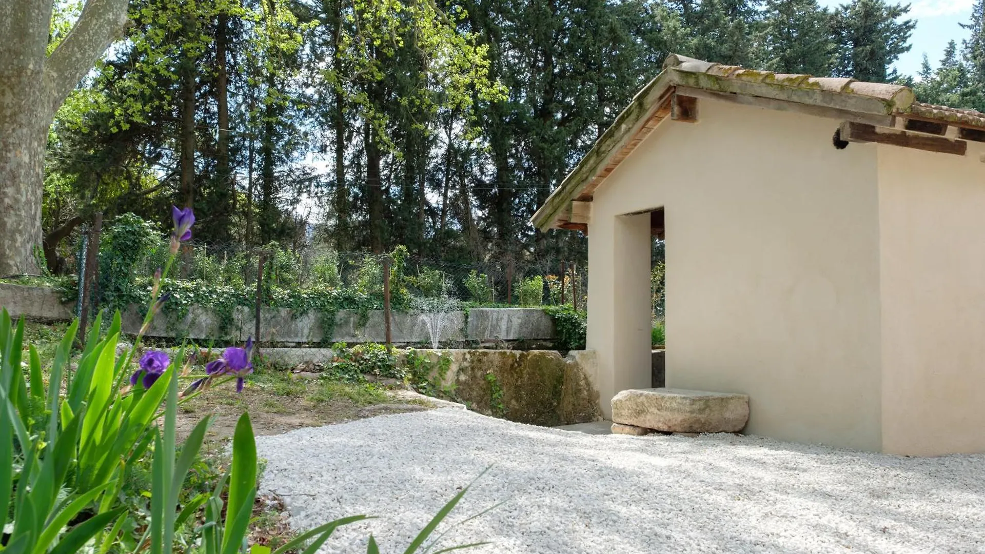 Apartment Mas Neuf De Romanin : Mas Provencal Familial Saint-Remy-de-Provence